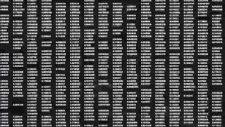 汪军：我探索复制人类智能的可能性，是为了接近生命智慧的来源